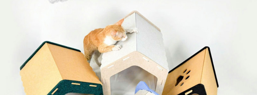 Remak® Sonic Pet House - Chuồng thú cưng tái sinh siêu độc đáo từ Remak