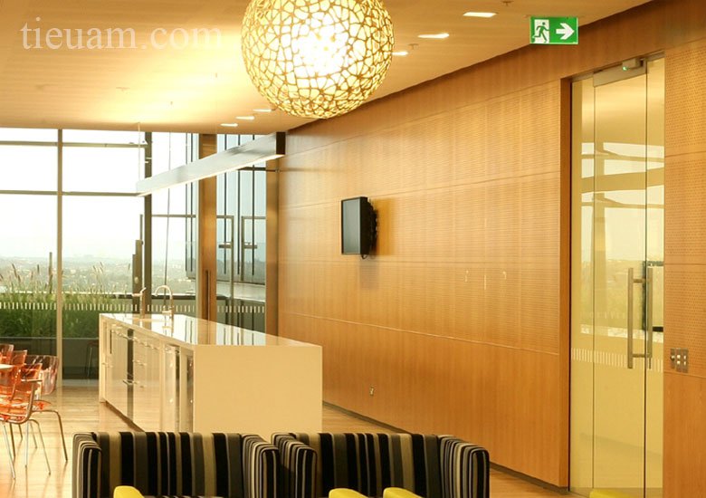 Gỗ tiêu âm đục lỗ 0