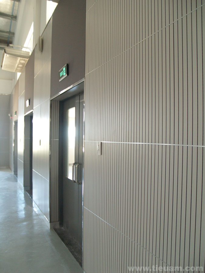 Thiết kế và thi công tiêu âm phòng tập múa Trường quốc tế Singapore - Ảnh 2