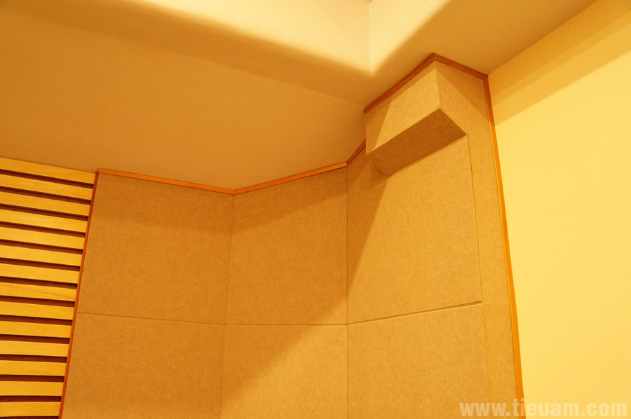 Phòng nghe nhạc Hi-end - Ảnh 6